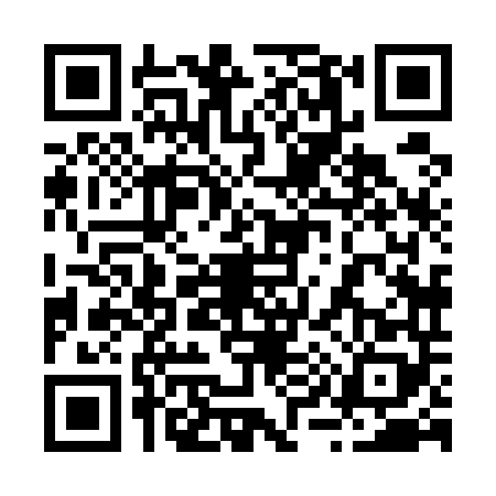 QR code for 2985482