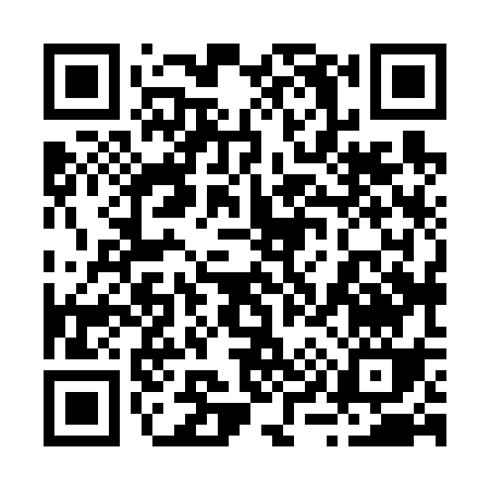 QR code for 29863