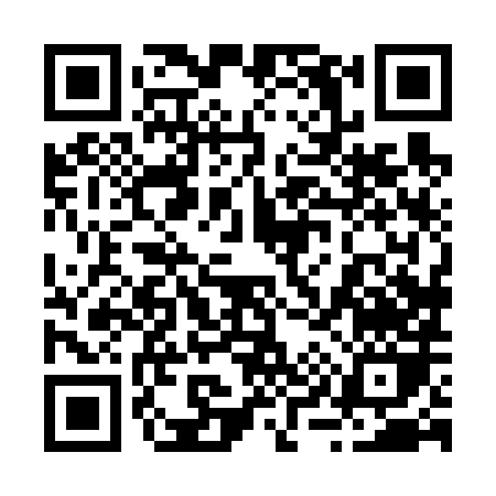 QR code for 29868