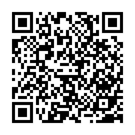 QR code for 29911
