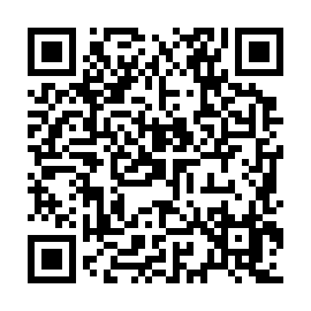 QR code for 29938