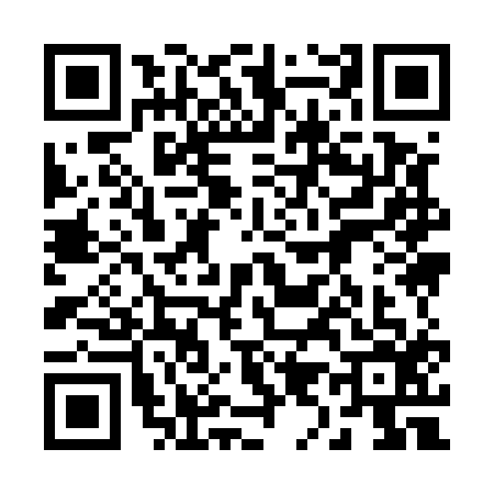QR code for 2995167