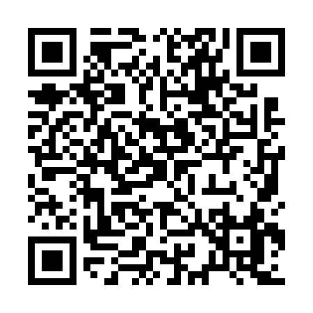 QR code for 29963