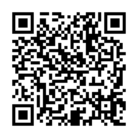 QR code for 29991