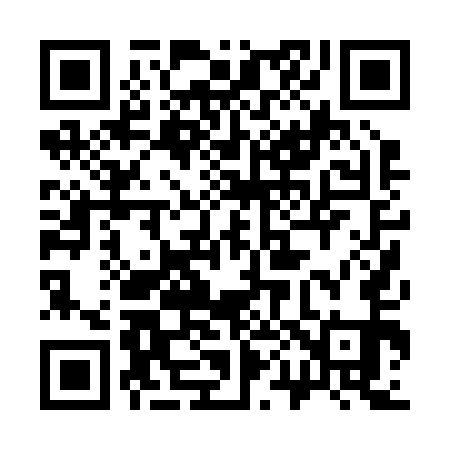 QR code for 300251