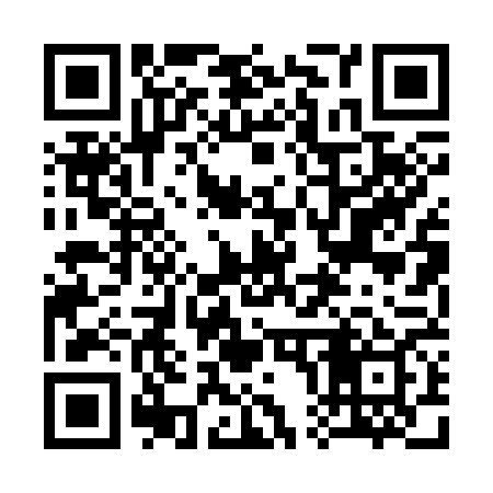 QR code for 300369