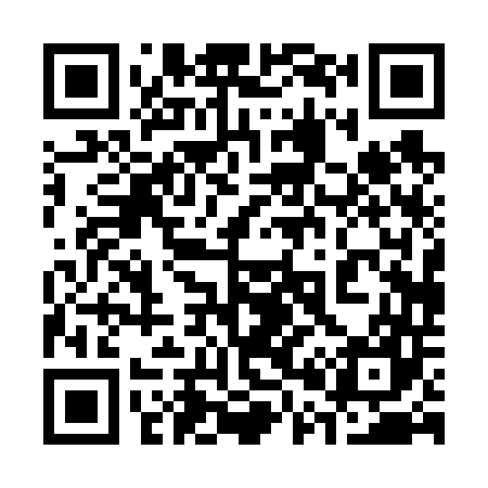 QR code for 300647
