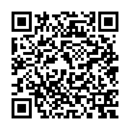 QR code for 3007313