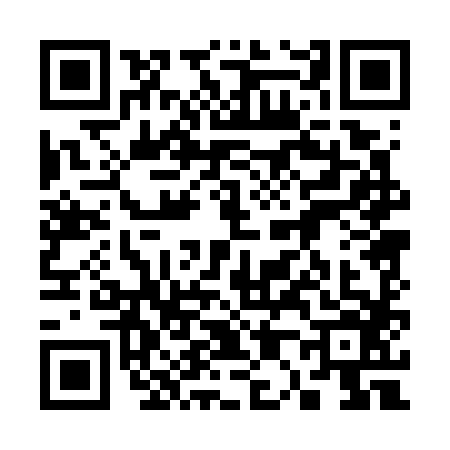 QR code for 3007863