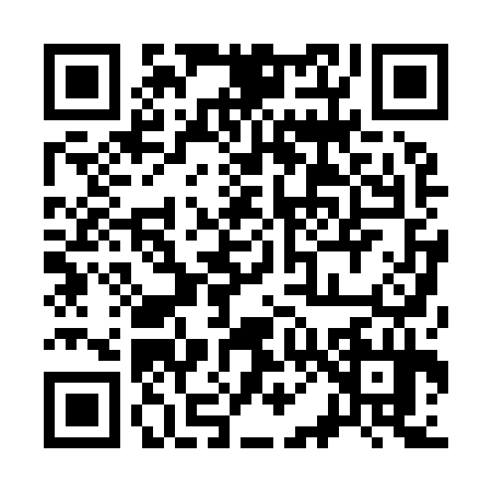 QR code for 3009343