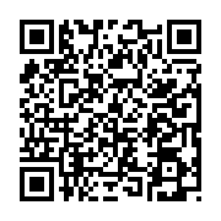 QR code for 3011741
