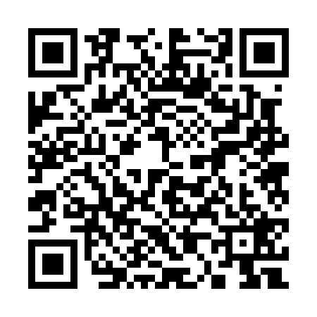 QR code for 3020295