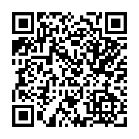 QR code for 30225