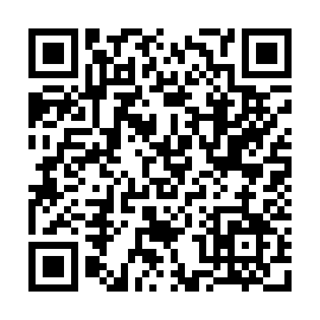 QR code for 30313