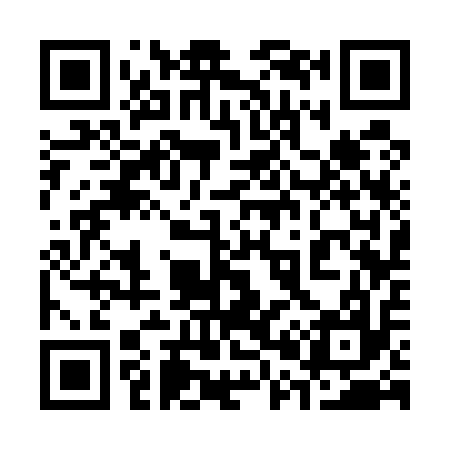 QR code for 303517