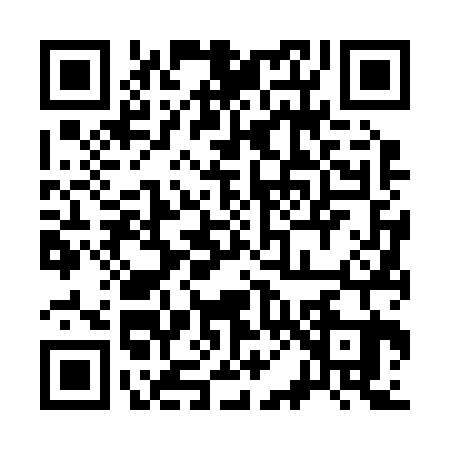 QR code for 3062235