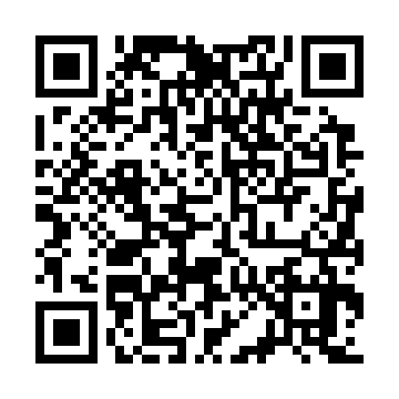 QR code for 3063370