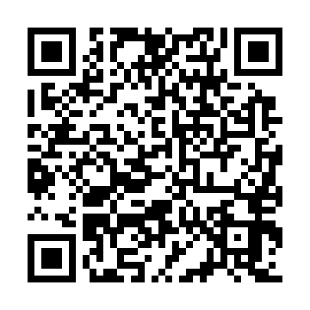 QR code for 3063538