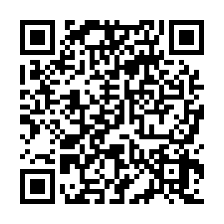 QR code for 3081380