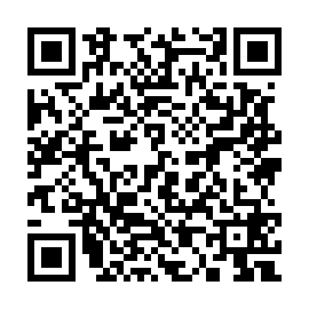 QR code for 3095687