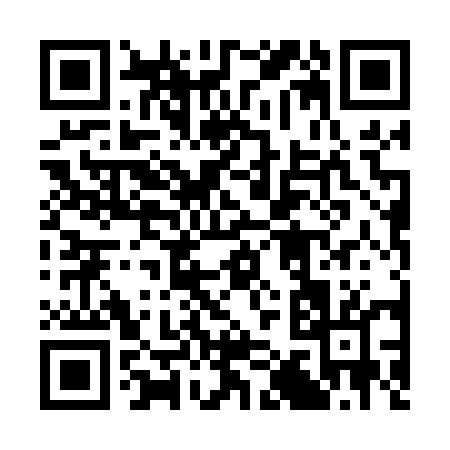 QR code for 31005