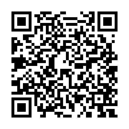 QR code for 3123463
