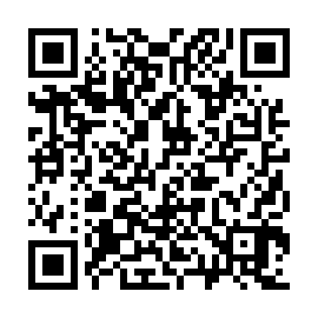 QR code for 312502
