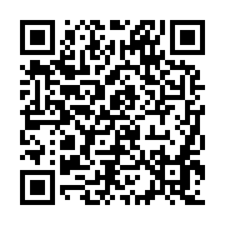QR code for 31295
