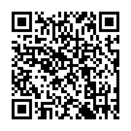 QR code for 31313