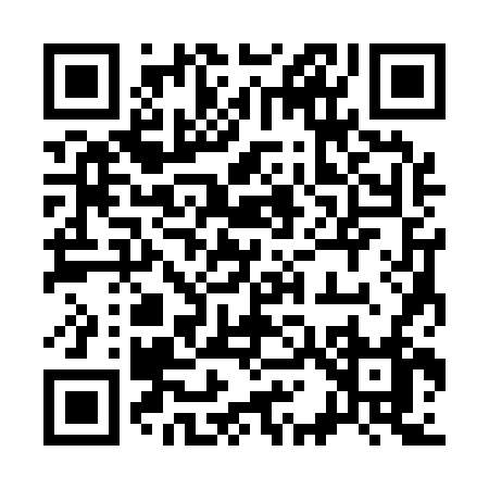 QR code for 31316