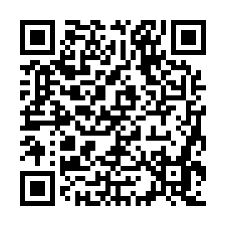 QR code for 31317
