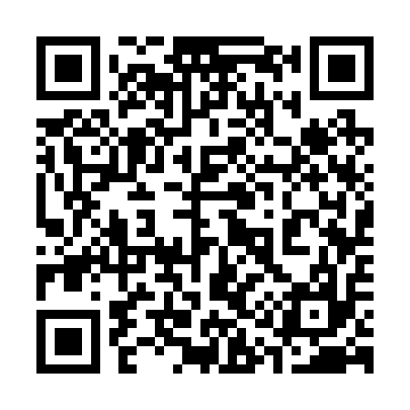 QR code for 313217