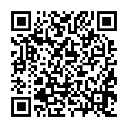 QR code for 313254