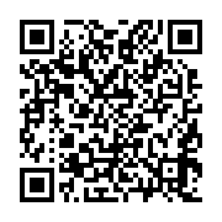 QR code for 313259