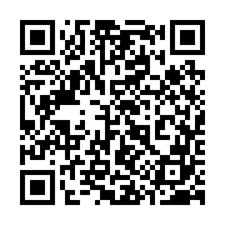 QR code for 313262