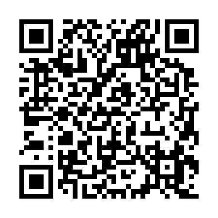 QR code for 31333