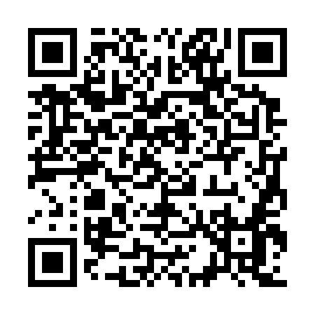 QR code for 31335