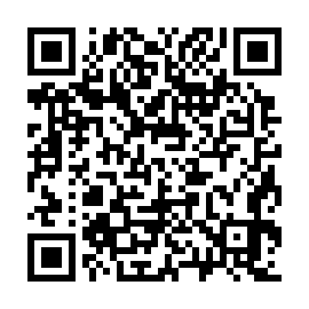 QR code for 313373