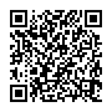 QR code for 313383