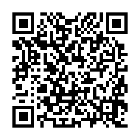 QR code for 313397