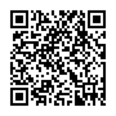 QR code for 313424