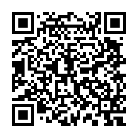 QR code for 313495