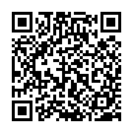 QR code for 313545