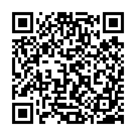 QR code for 313652