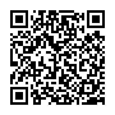 QR code for 313675