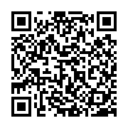 QR code for 313729