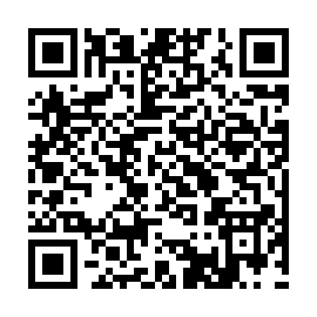 QR code for 31381