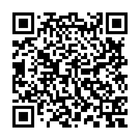 QR code for 313831