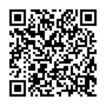 QR code for 313982