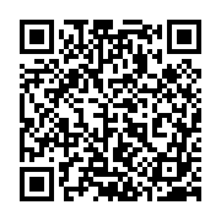 QR code for 317063